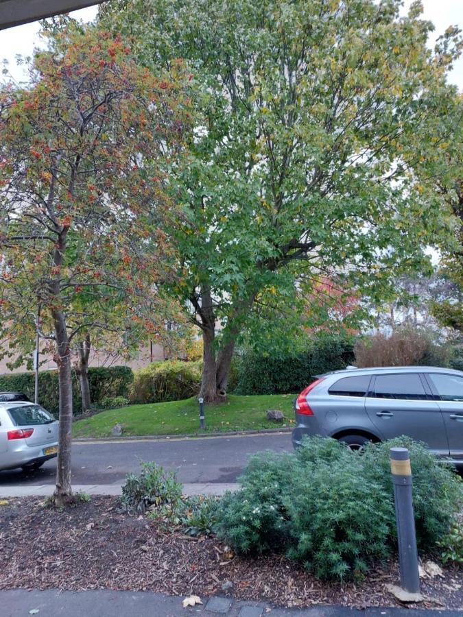 Superb 2 Bedroom Flat, Sleeps 6 Croydon